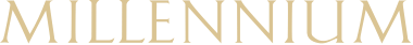 Millennium Development logo