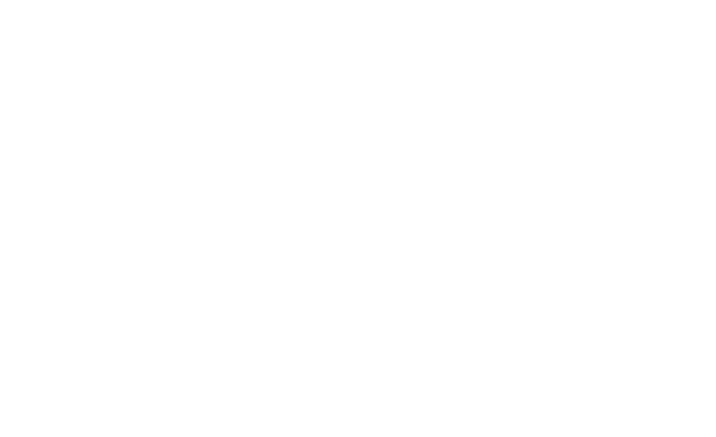 South Street Development Group logo