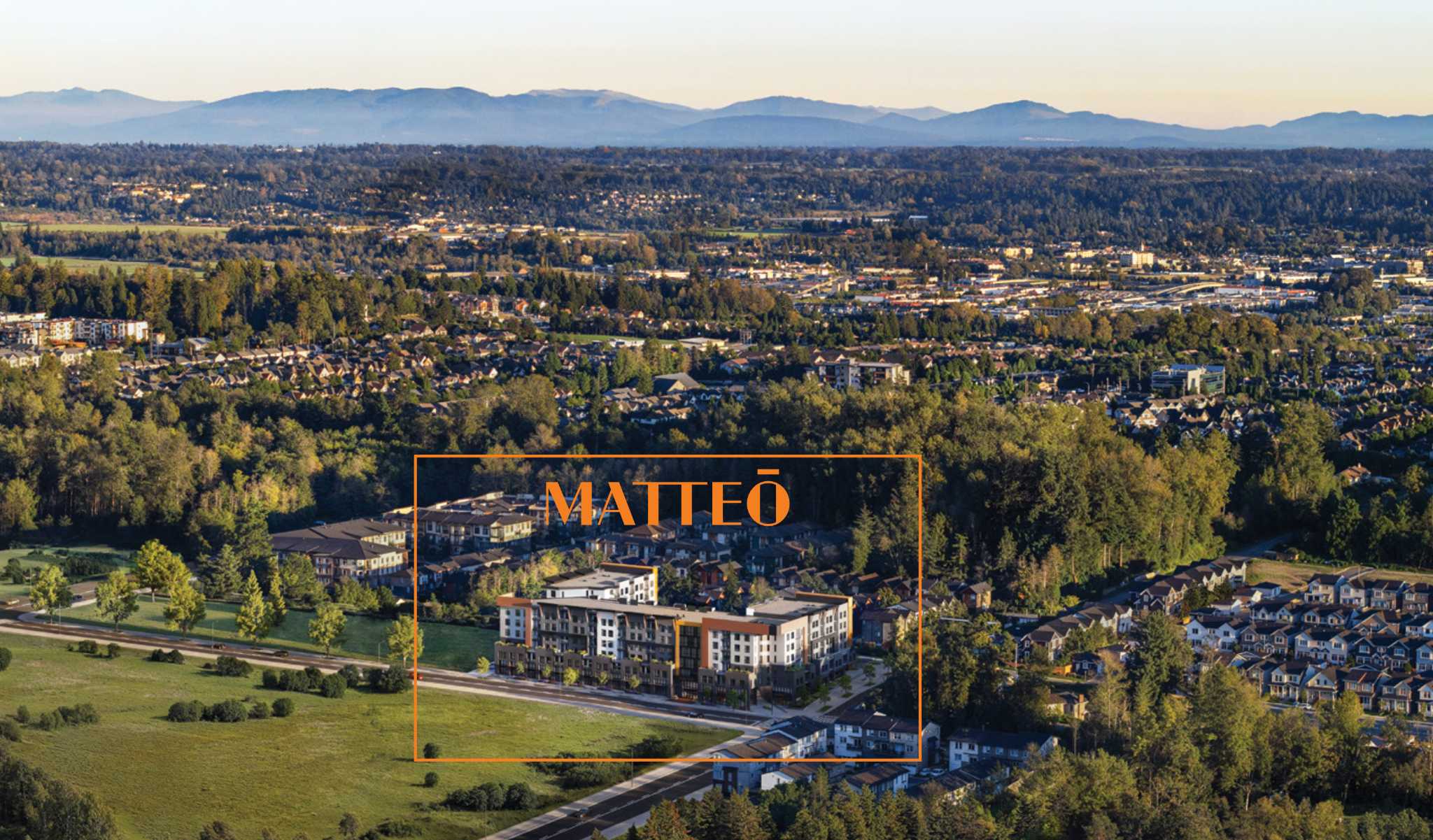 Matteō in Langley – photo 1