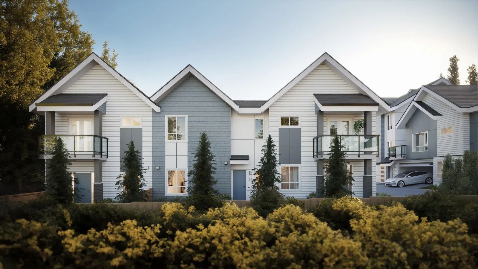Willow Heights — new development in Langley