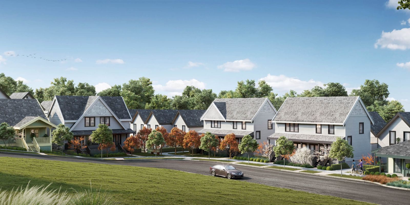 Laval — new development in Coquitlam